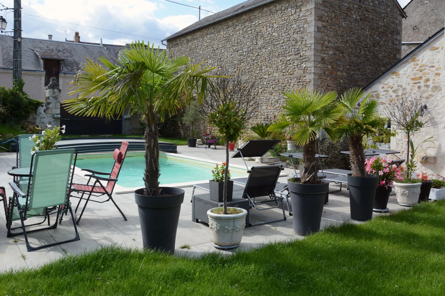 Piscine et palmiers dans le jardin